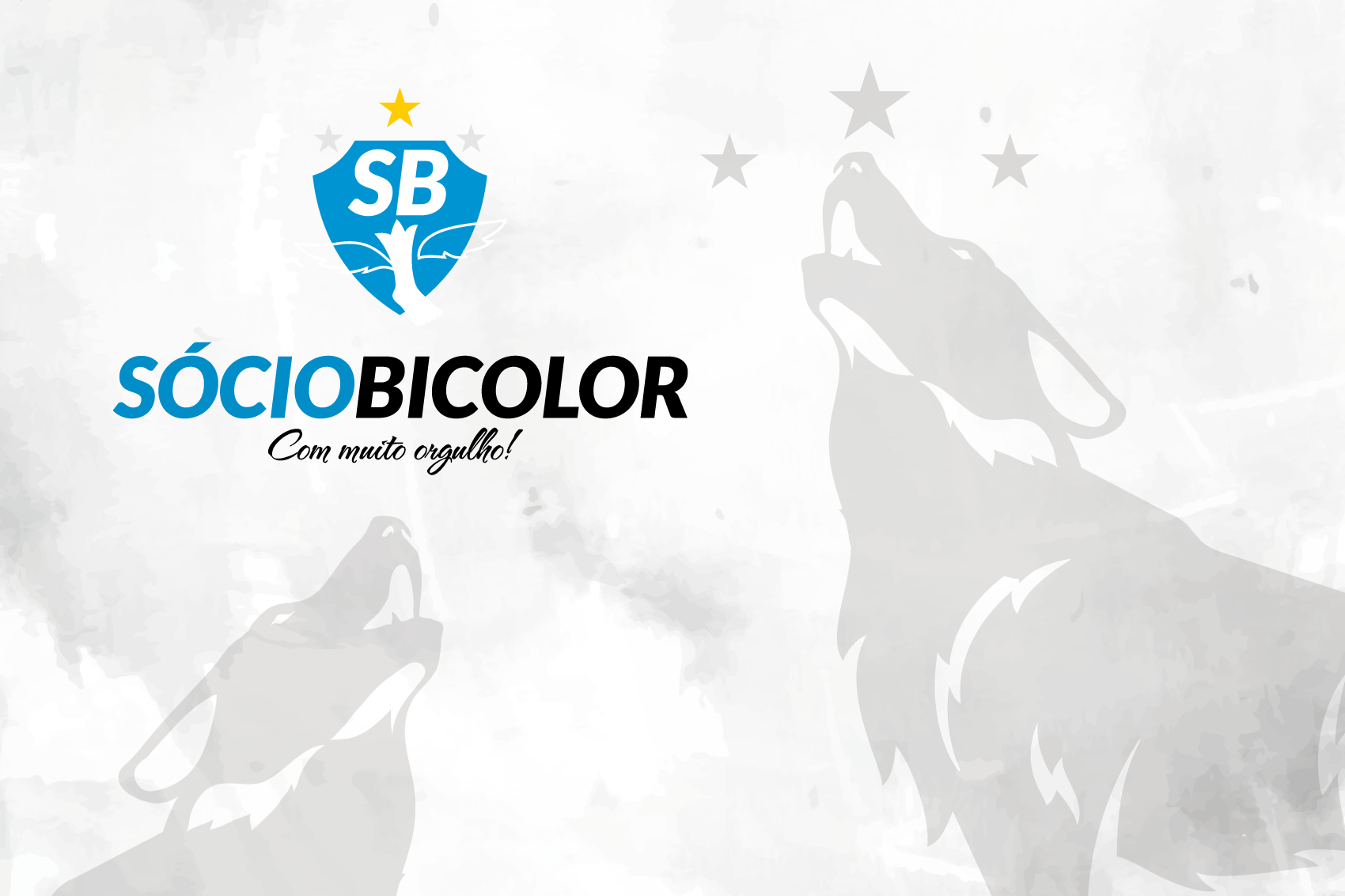 Cartes Paysandu - Sócio Bicolor 